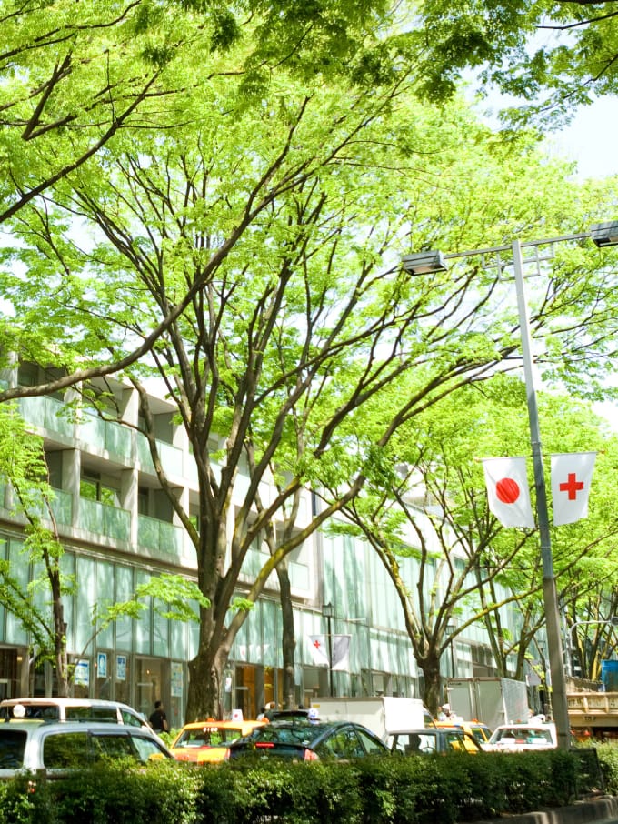 表参道 イメージ