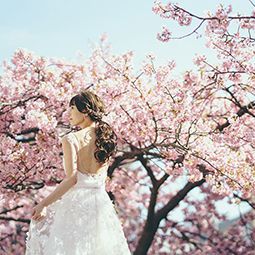 ウエディングフォトのイメージ画像