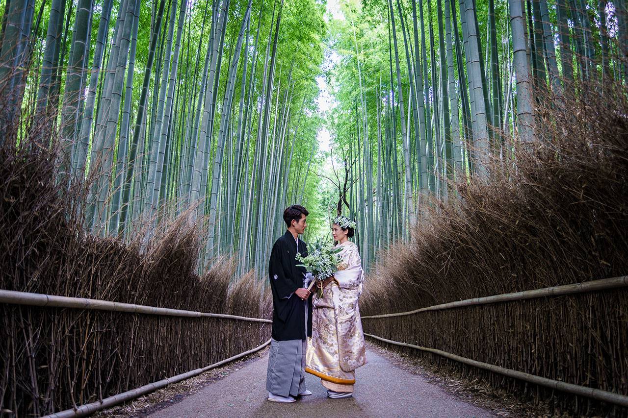 嵐山竹林 イメージ